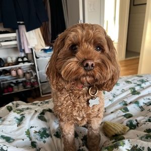 Meet your Posher, Stephanie